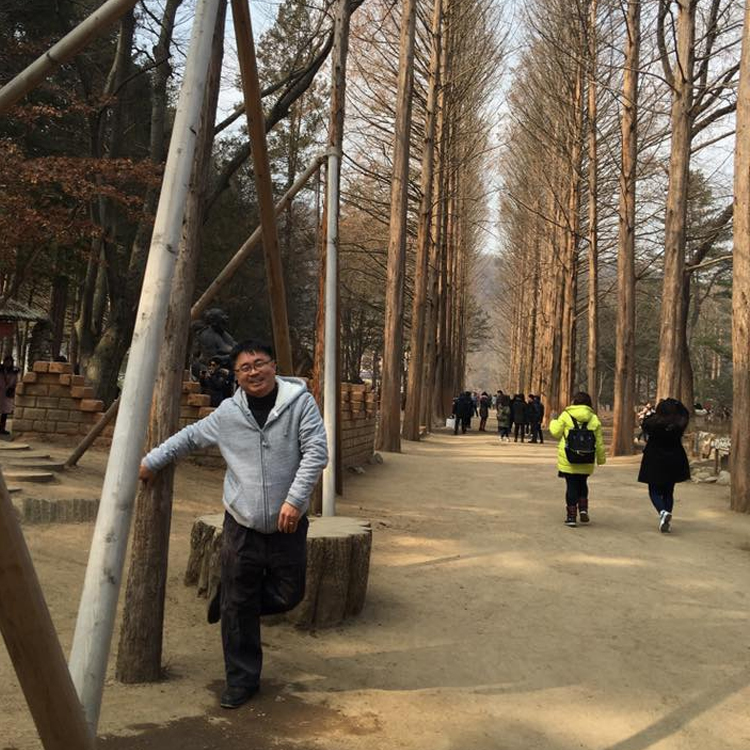 Article: Nami Island Tour Gallery