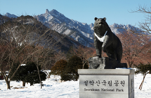 Mt. Seoraksan Tour Gallery