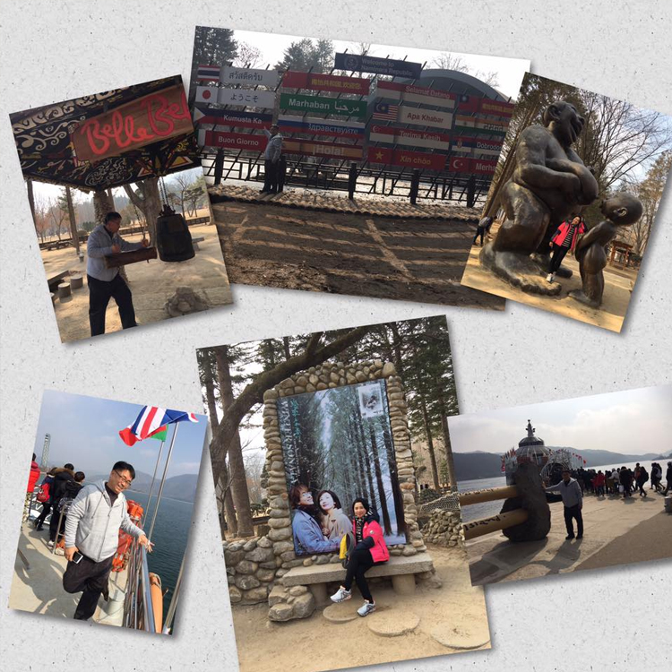Article: Nami Island Tour Gallery