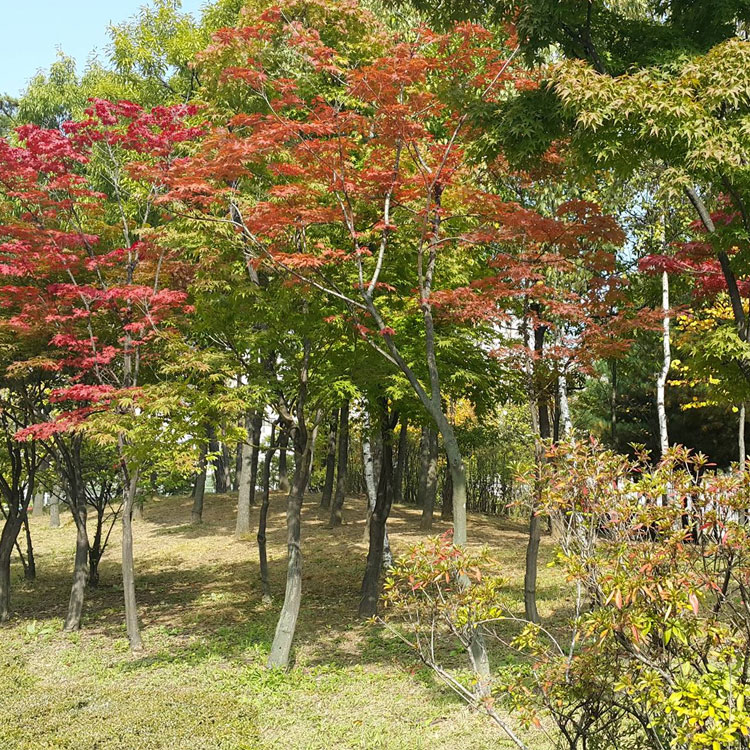 We are in Autumn Gallery