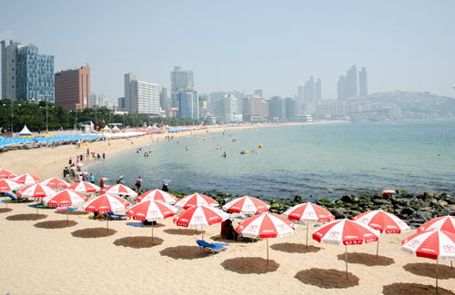 Busan Tour Gallery