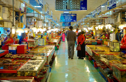 Busan Tour Gallery