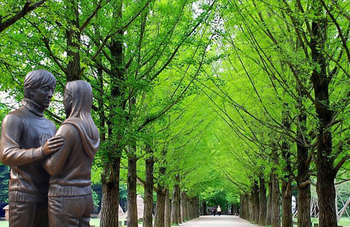 Nami Island Gallery