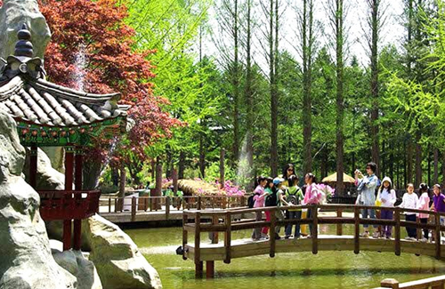 Nami Island Gallery