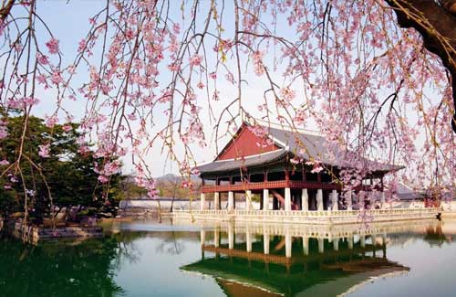 Seoul Tour Gallery